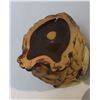 Image 3 : Owl Plant Pot.