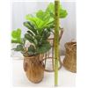 Image 2 : Kouboo Rattan Indoor Plant Stand, Vintage Wicker Basket and Wicker Plant Stands etc.