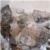 Image 4 : lot of fossils and quartz crystals