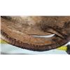 Image 3 : Vintage 12" x 9" Birch Bark Basket Early 1900s