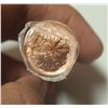 Image 2 : 2012 Canadian Roll Of One Cent - The Last Cent, Steel