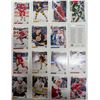 Image 1 : 1991Upper Decker Hockey Cards /1991 Pro setHockey Cards/Ed Belfour Graphic Card