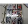 Image 1 : 2000-10 Hockey Card Binder