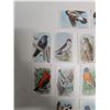 Image 2 : (15) Cards Church= Dwight useful Birds of America
