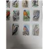 Image 4 : (15) Cards Church= Dwight useful Birds of America