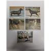 Image 2 : Vintage Rare Park Hurst Dog Doubled sided