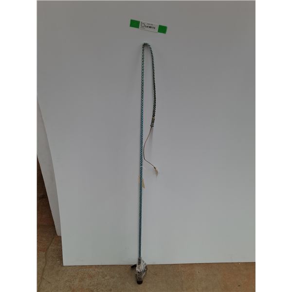 Antique Carriage Mounted Whip