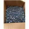 Image 2 : Box of 1 1/4" Roofing Nails