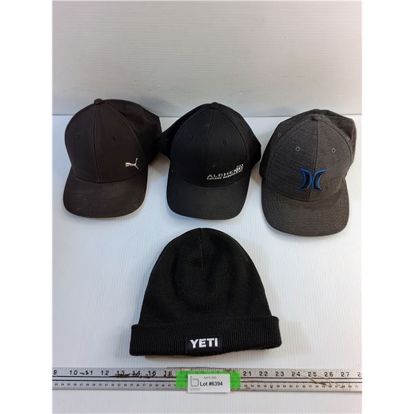 (3) Baseball Hats and Winter Toque