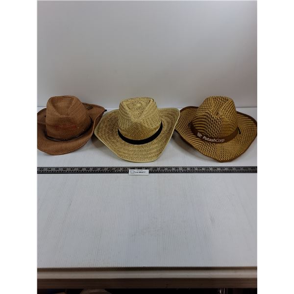 (3) Straw Hats