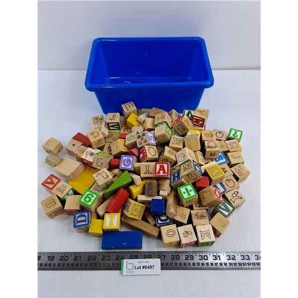 Wooden Children's Play Blocks with Tote