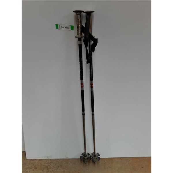 Look Ski Poles 44" Tall