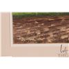 Image 2 : John M. Zupan (1941-1998) framed original watercolour painting, titled "Field in Summer North of Edm