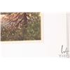 Image 2 : John M. Zupan (1941-1998) framed original watercolour painting, titled on verso "Stormy Evening over