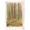 Image 1 : John M. Zupan (1941-1998) unframed original watercolour painting of trees in a forest, 14 3/4" X 11"