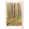 Image 2 : John M. Zupan (1941-1998) unframed original watercolour painting of trees in a forest, 14 3/4" X 11"