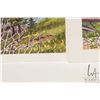 Image 3 : John M. Zupan (1941-1998) four original unframed watercolour paintings including "Above Rogers Pass"