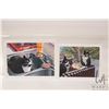 Image 1 : John M. Zupan (1941-1998) two unframed original watercolour paintings of black and white cats includ