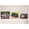 Image 1 : John M. Zupan (1941-1998) three unframed original watercolour paintings of cats including 5" X 6 1/2