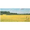 Image 1 : John M. Zupan (1941-1998) framed original watercolour painting, labelled on verso "Summer Near Ft. S