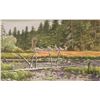 Image 1 : John M. Zupan (1941-1998) framed original watercolour painting of a marsh scene with trees. No signa