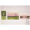 Image 1 : John M. Zupan (1941-1998) three unframed original watercolour paintings including "Sunset at Elk Isl