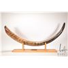Image 1 : Genuine Mammoth tusk with Eskimo Art hang tag "Shytoo Muckpah, Pond Inlet NWT 02/91  Mammoth " and a