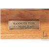 Image 2 : Genuine Mammoth tusk with Eskimo Art hang tag "Shytoo Muckpah, Pond Inlet NWT 02/91  Mammoth " and a