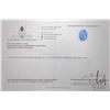 Image 4 : 9.2 ct Certified Tanzanite Gemstone with certificate provided by consignor