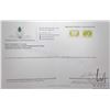 Image 4 : 6.84 ct Certified Himalayan Peridot Gemstone Pair with certificate provided by consignor