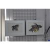 Image 1 : Joe Pelletier coloured pencil and ink drawings including "Brothers" and "Pride" each signed by artis