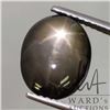 Image 2 : 15.66 ct Certified Black Star Sapphire Gemstone with certificate provided by consignor