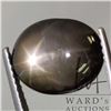 Image 3 : 15.66 ct Certified Black Star Sapphire Gemstone with certificate provided by consignor