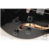 Image 4 : Rare Washburn AB-95, hollowbody five string bass guitar with double binding and deluxe tuners, pearl