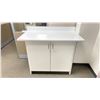 Image 1 : WHITE LAMINATE TOP 2 DOOR CABINET