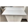Image 2 : WHITE LAMINATE TOP 2 DOOR CABINET