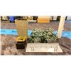 Image 1 : GROUP OF ARTIFICIAL PLANTS. PLANTERS, AND COAT RACKS