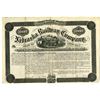 Image 1 : NE. Nebraska Railway Co., 1875 Specimen 7% Gold Coupon Bond Rarity