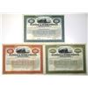 Image 1 : PA. Buffalo and Susquehanna Railroad Co., 1901, Specimen Registered Gold Bond Trio.