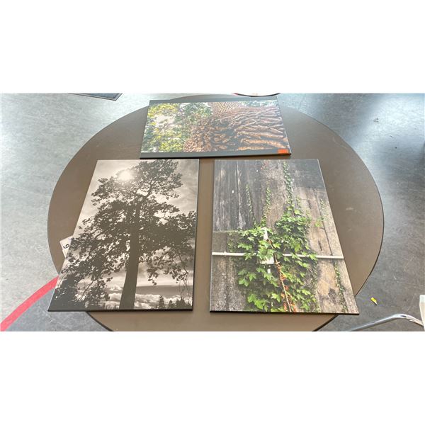 3 MOUNTED PHOTGRAPHS 24X16"