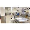 Image 3 : CAPMATIC AUTOMATED INTEGRATED BOTTLE CAPPING, LABELING, CODING, METAL DETECTING LINE.