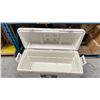 Image 2 : GROUP LOT MAXCOLD PREMIUM 156L COOLER, RUBBERMAID BEVERAGE COOLER AND TWO BLUE FLUID COOLERS