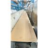 Image 3 : 3 X 10' SECTIONS OF ROLLING CONVEYOR. ADJUSTABLE HEIGHT