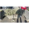 Image 1 : CONCRETE PLANTER 4'X18"X17"H LOCATED OUTSIDE MAIN BUILDING