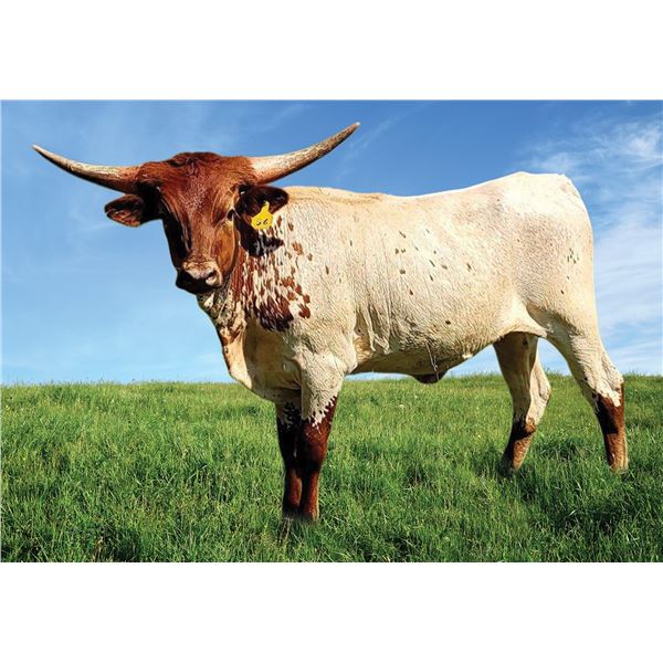 Dillinger Jazzed Up HCL