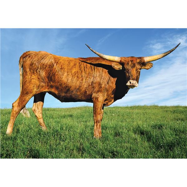 Safari's Sweet Pea SRC