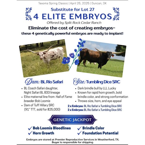 SUB LOT - 4 Elite Embryos