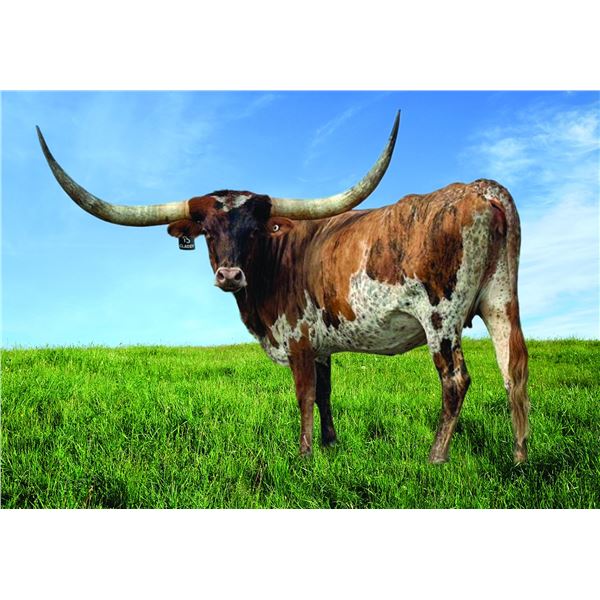 Hubbells Classy Catch 016