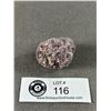 Image 1 : Lepodorite Stone Specimen In Display. Retails $280.00