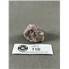 Image 2 : Lepodorite Stone Specimen In Display. Retails $280.00